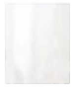 RISC-100 11X17  11" x 17" Menu Cover (Clear)