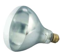 WINC-EHL-BW  250 Watt Heat Lamp Bulb for EHL-2 (Clear)